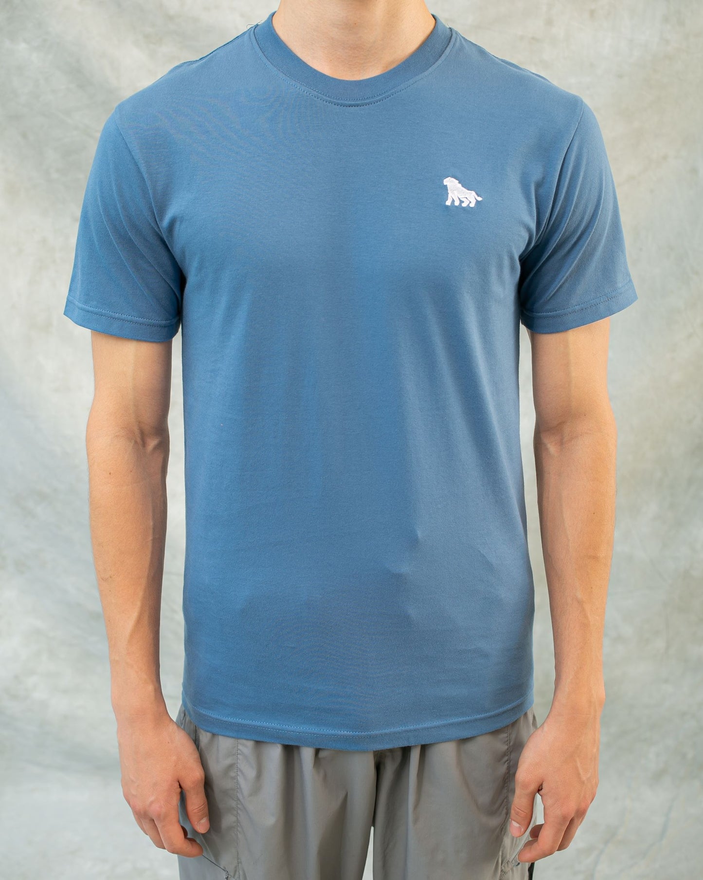 DELIRIUM T-shirt Monogram Logo - Steel Blue